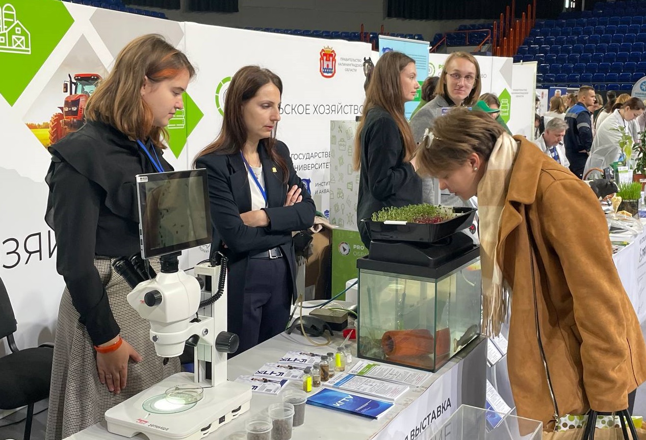 КГТУ широко представлен на выставке «PRO Образование»