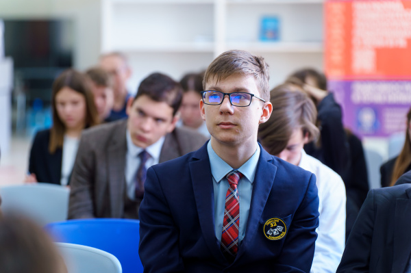 Section Electrical Engineering discussed the future of electroenergetics